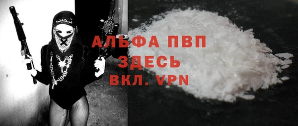 ПСИЛОЦИБИНОВЫЕ ГРИБЫ Абаза