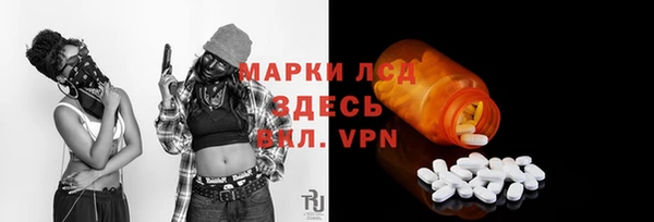 ПСИЛОЦИБИНОВЫЕ ГРИБЫ Абаза