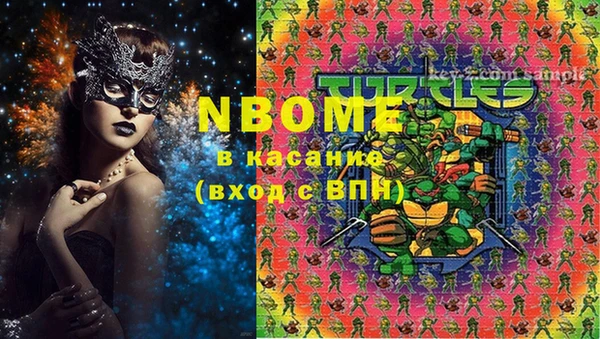 ПСИЛОЦИБИНОВЫЕ ГРИБЫ Абаза